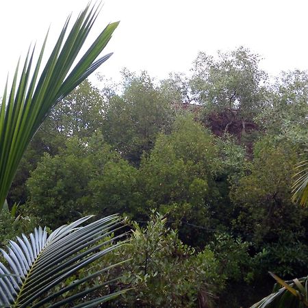 Mermaid Cabana And Tree Houses แทนกาลเล ภายนอก รูปภาพ