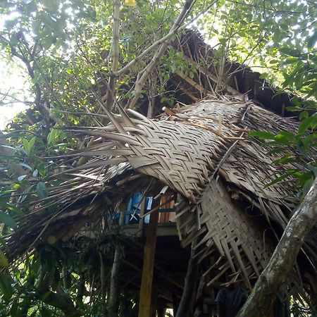 Mermaid Cabana And Tree Houses แทนกาลเล ภายนอก รูปภาพ