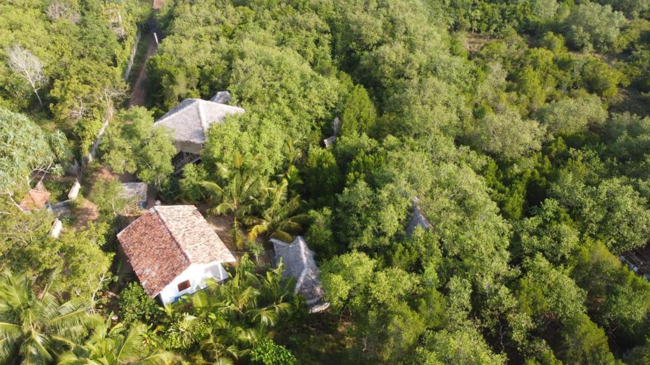 Mermaid Cabana And Tree Houses แทนกาลเล ภายนอก รูปภาพ