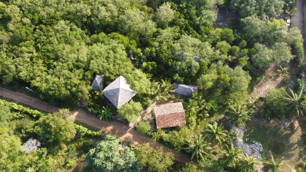 Mermaid Cabana And Tree Houses แทนกาลเล ห้อง รูปภาพ
