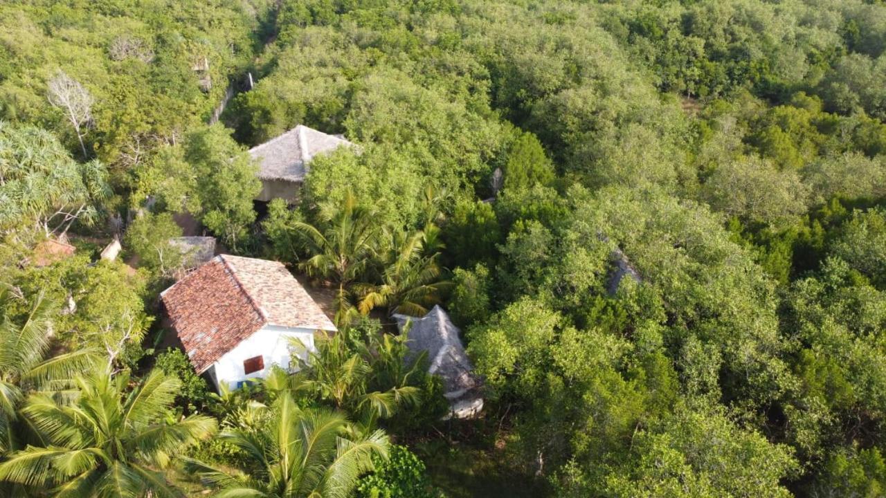 Mermaid Cabana And Tree Houses แทนกาลเล ห้อง รูปภาพ