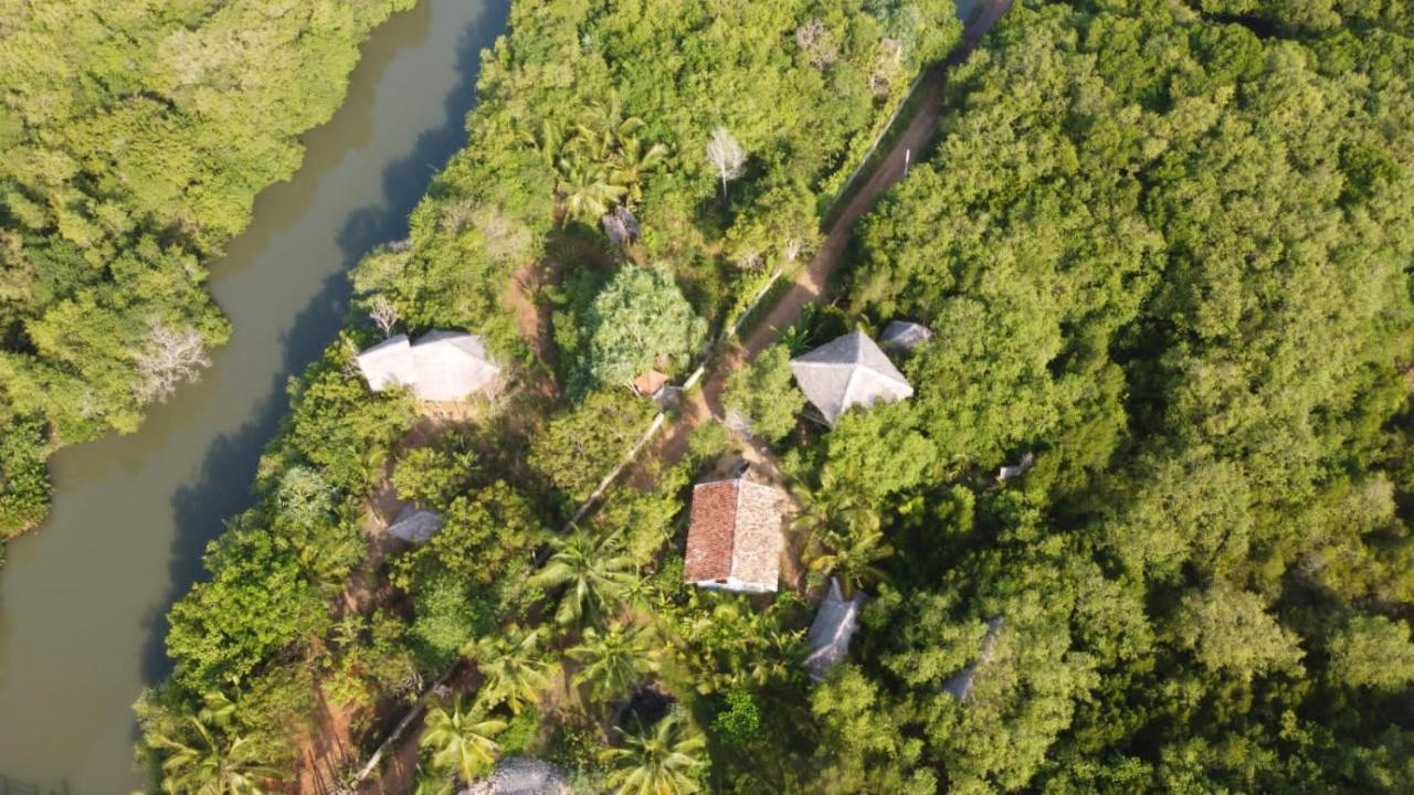 Mermaid Cabana And Tree Houses แทนกาลเล ห้อง รูปภาพ