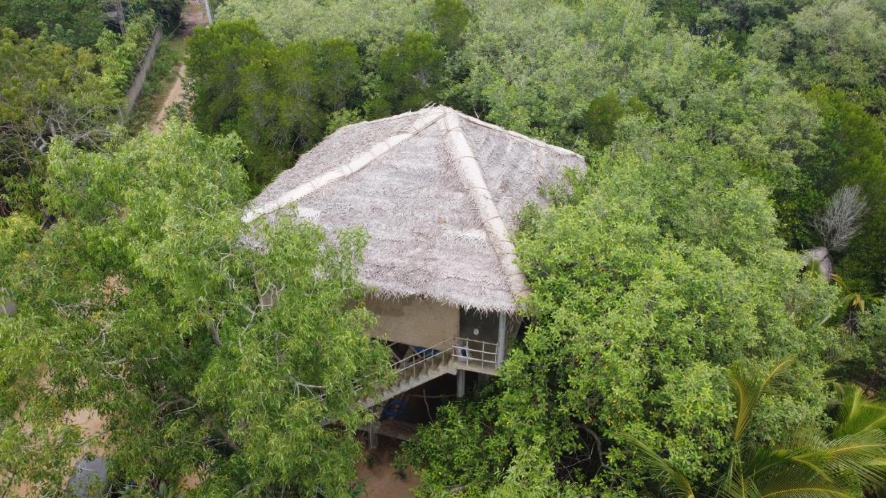 Mermaid Cabana And Tree Houses แทนกาลเล ภายนอก รูปภาพ