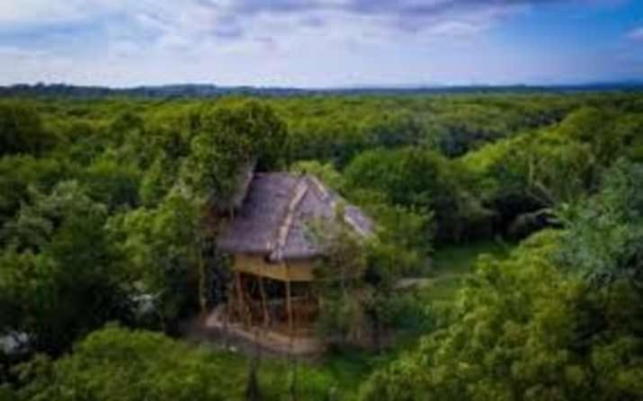 Mermaid Cabana And Tree Houses แทนกาลเล ภายนอก รูปภาพ