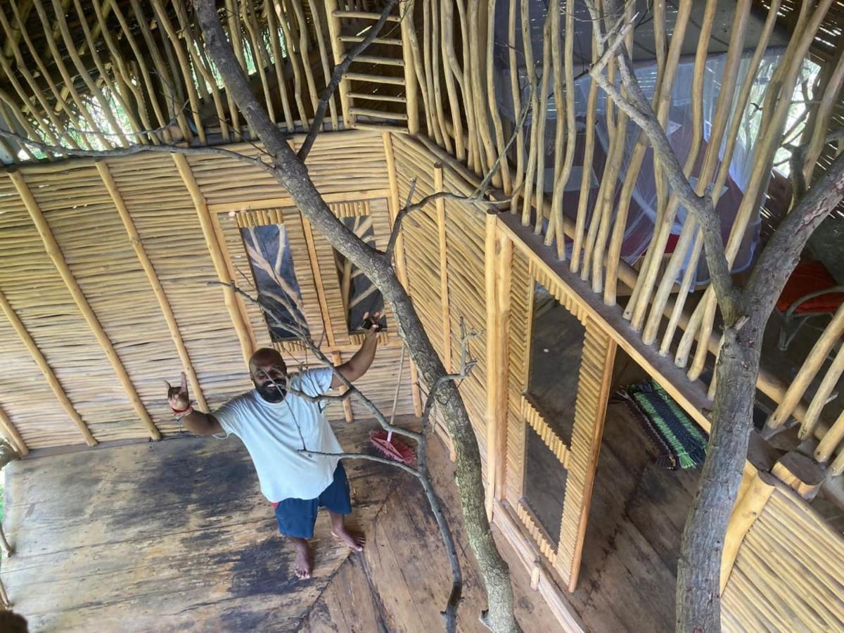 Mermaid Cabana And Tree Houses แทนกาลเล ภายนอก รูปภาพ