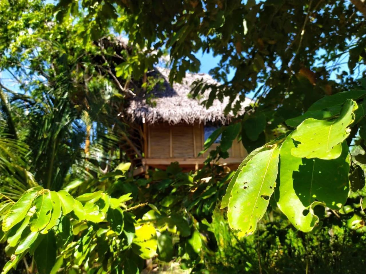 Mermaid Cabana And Tree Houses แทนกาลเล ห้อง รูปภาพ