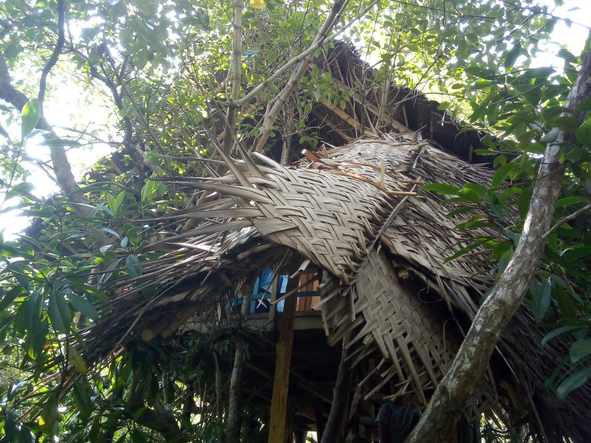 Mermaid Cabana And Tree Houses แทนกาลเล ภายนอก รูปภาพ
