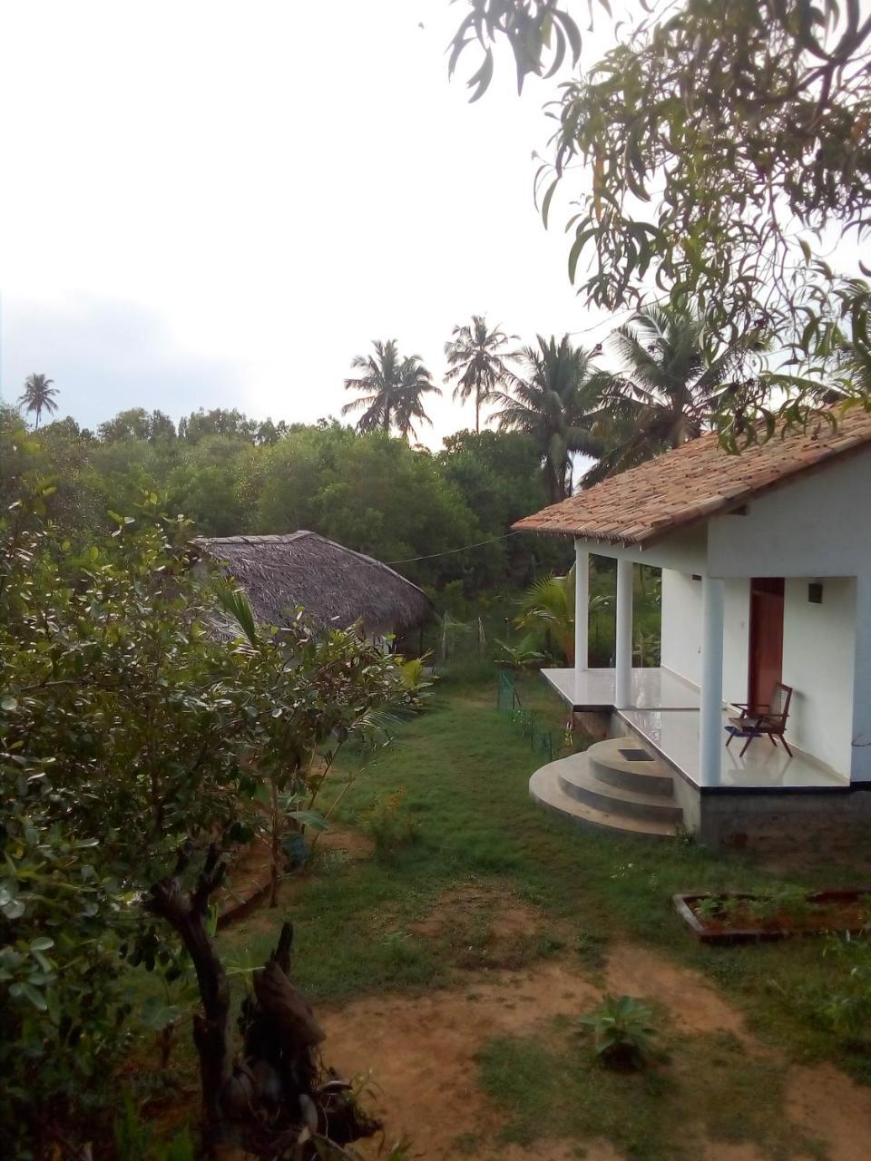 Mermaid Cabana And Tree Houses แทนกาลเล ภายนอก รูปภาพ