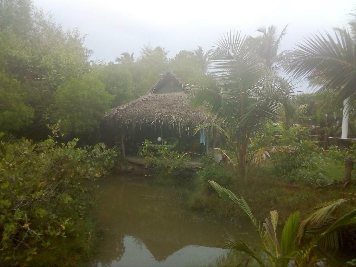 Mermaid Cabana And Tree Houses แทนกาลเล ภายนอก รูปภาพ