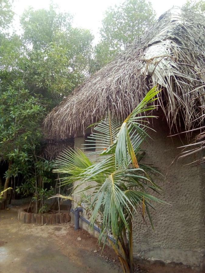 Mermaid Cabana And Tree Houses แทนกาลเล ภายนอก รูปภาพ