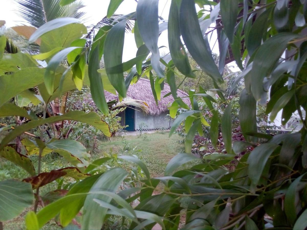Mermaid Cabana And Tree Houses แทนกาลเล ภายนอก รูปภาพ