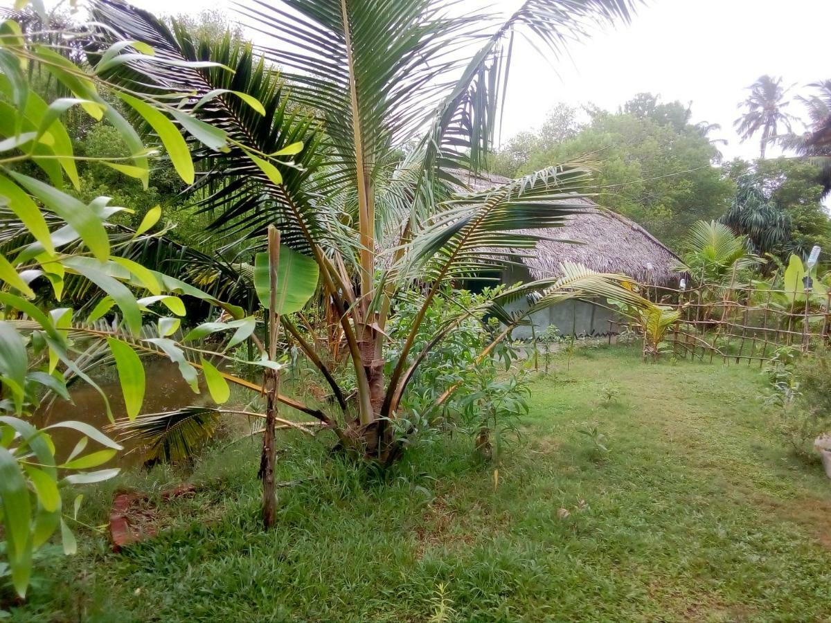 Mermaid Cabana And Tree Houses แทนกาลเล ภายนอก รูปภาพ