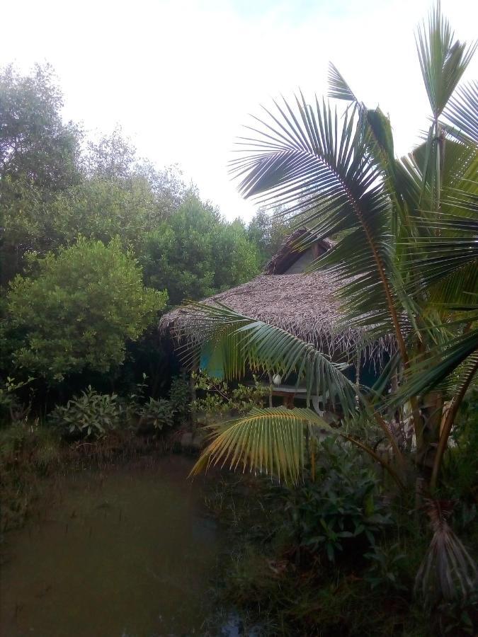Mermaid Cabana And Tree Houses แทนกาลเล ภายนอก รูปภาพ