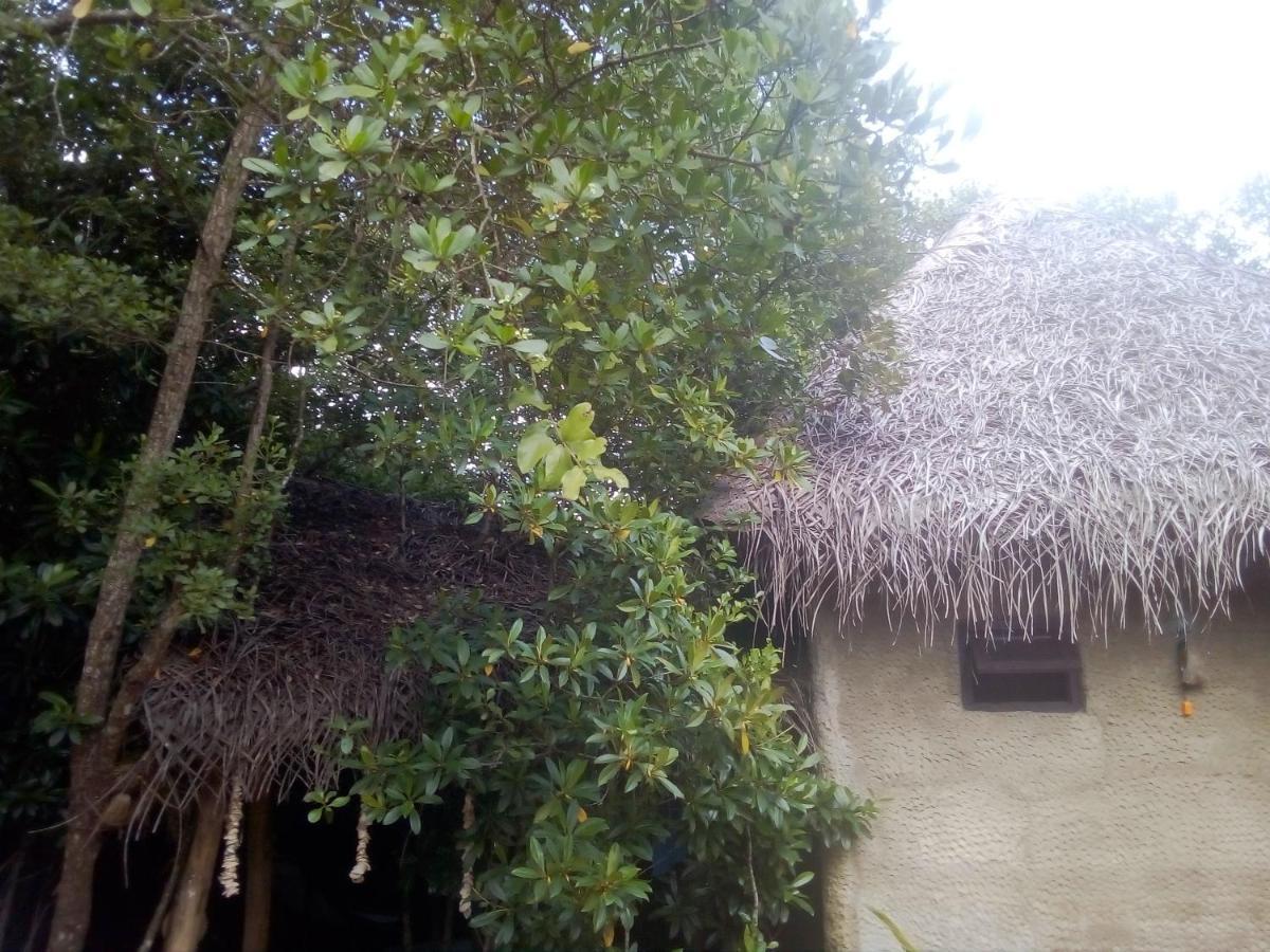 Mermaid Cabana And Tree Houses แทนกาลเล ภายนอก รูปภาพ