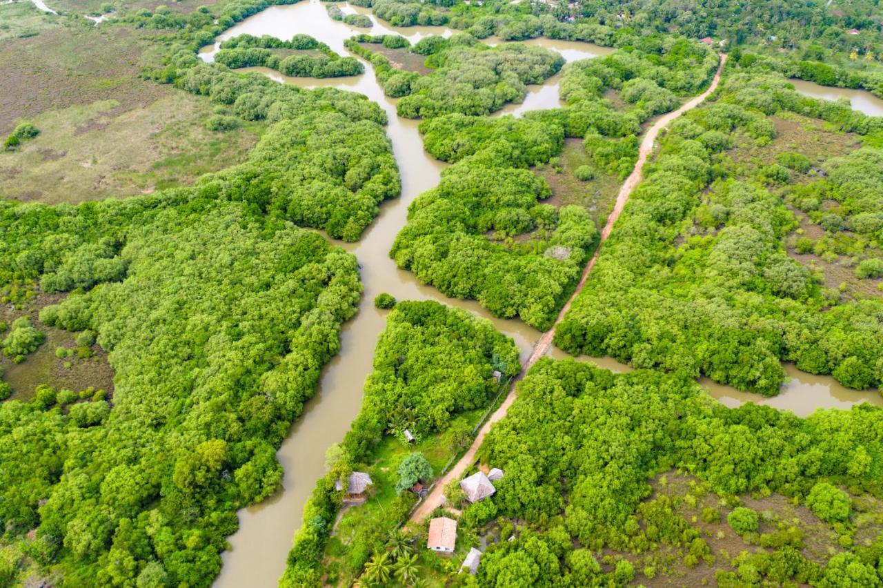 Mermaid Cabana And Tree Houses แทนกาลเล ภายนอก รูปภาพ
