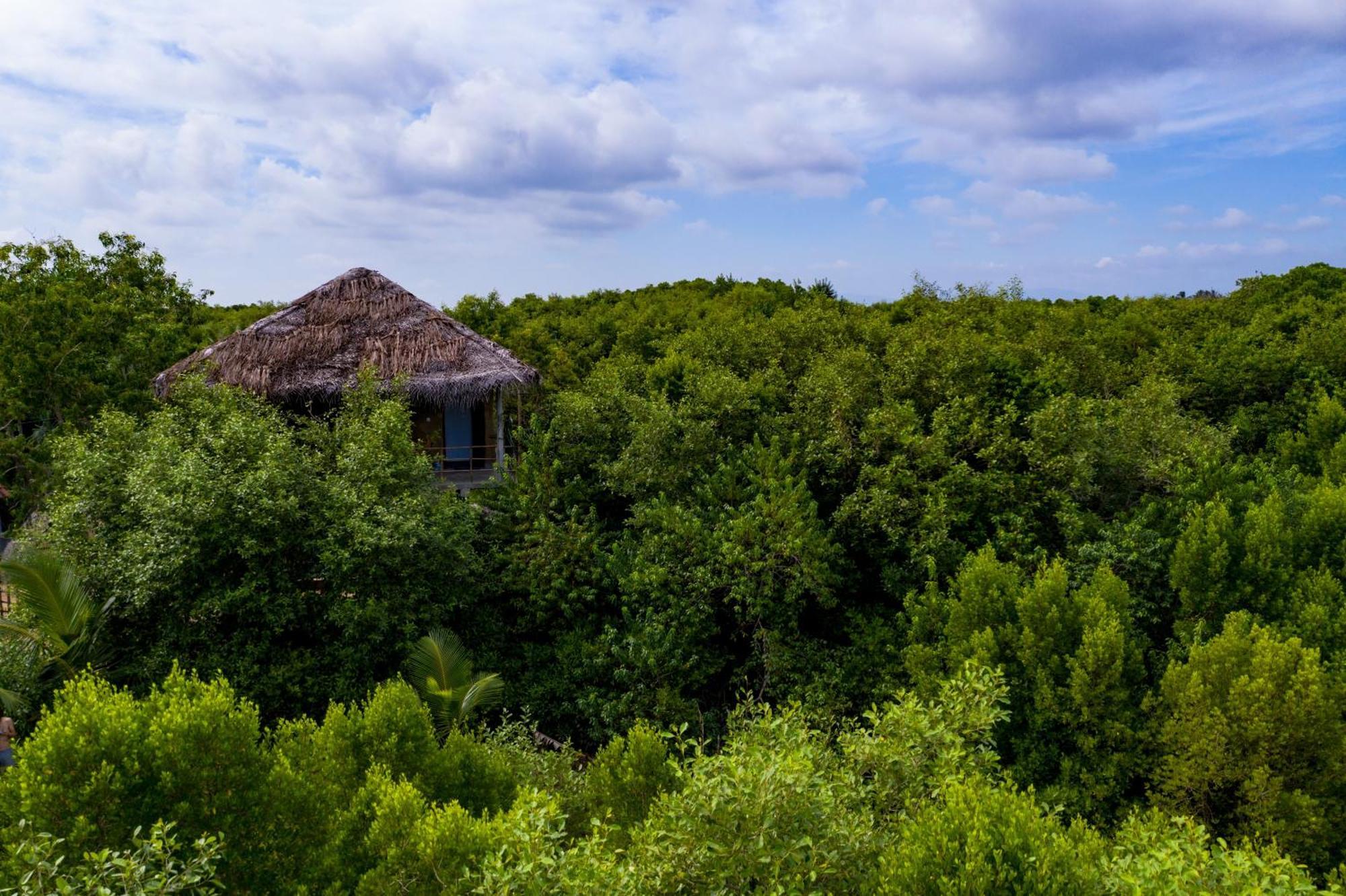 Mermaid Cabana And Tree Houses แทนกาลเล ภายนอก รูปภาพ