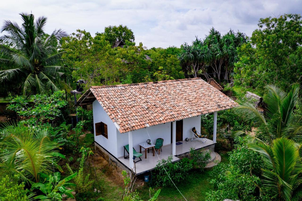 Mermaid Cabana And Tree Houses แทนกาลเล ภายนอก รูปภาพ