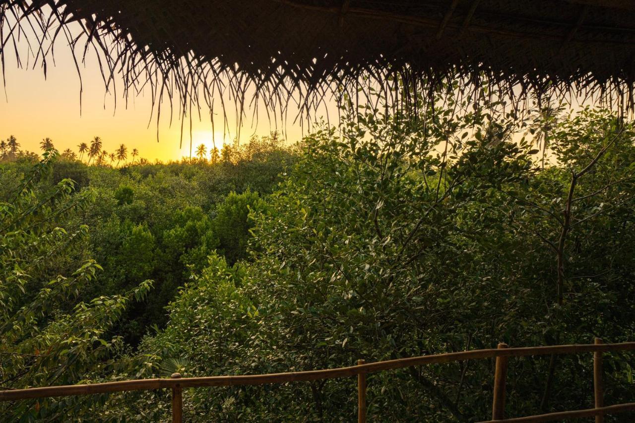 Mermaid Cabana And Tree Houses แทนกาลเล ภายนอก รูปภาพ