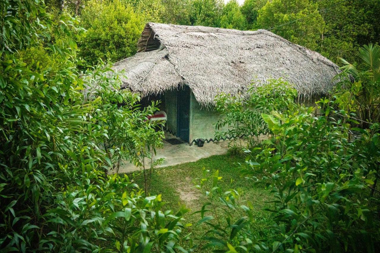 Mermaid Cabana And Tree Houses แทนกาลเล ภายนอก รูปภาพ
