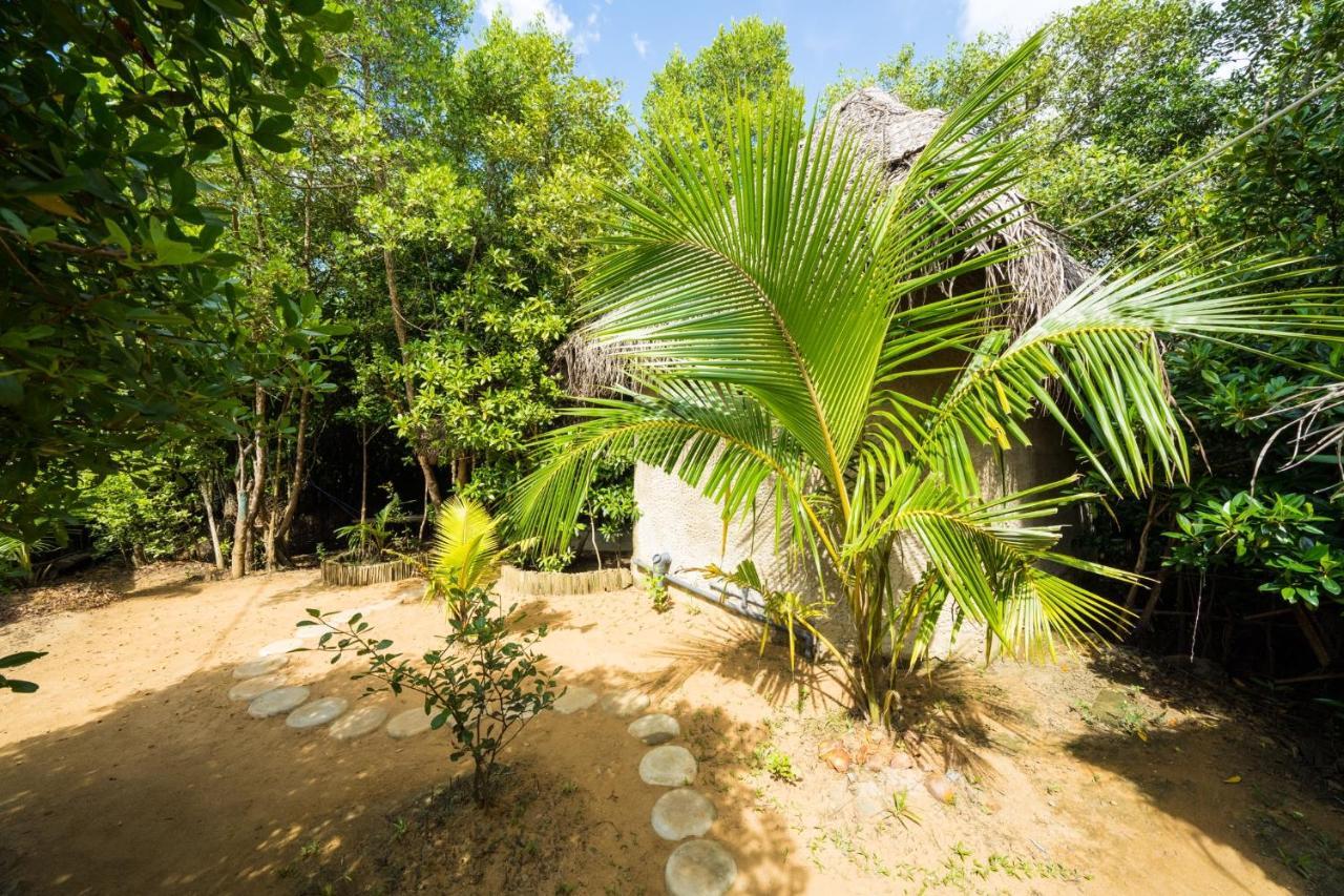Mermaid Cabana And Tree Houses แทนกาลเล ภายนอก รูปภาพ